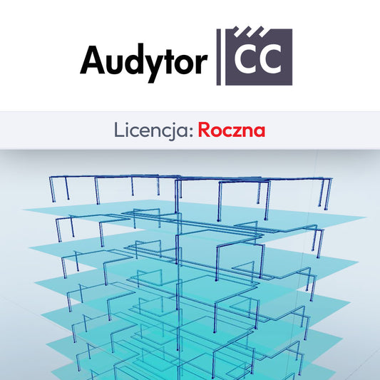 Auditor CC 7.4 Basic (SET), annual license
