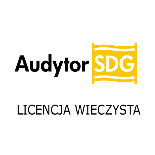 Audytor SDG 2.0, licencja bezterminowa
