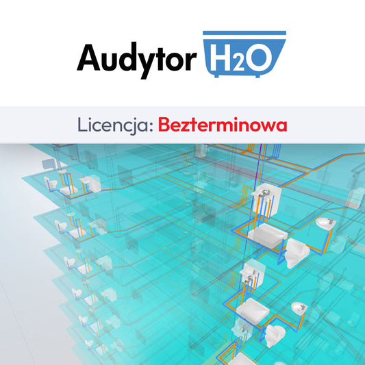 Auditor H2O 7.4 Basic (SET), perpetual license